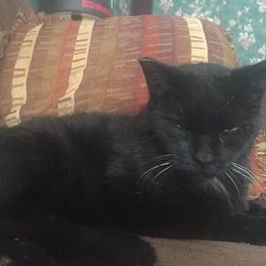 Meet your Posher, Vickie